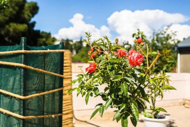 Отель Shatell Тбилиси-10