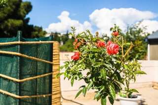 Отель Shatell Тбилиси-6